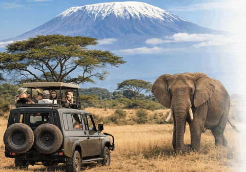 Safari Expeditions